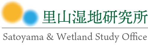 里山湿地研究所